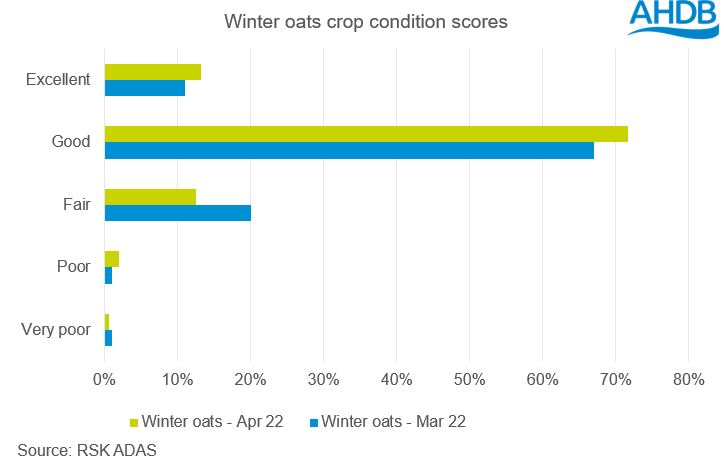 Winter oats crop conditions